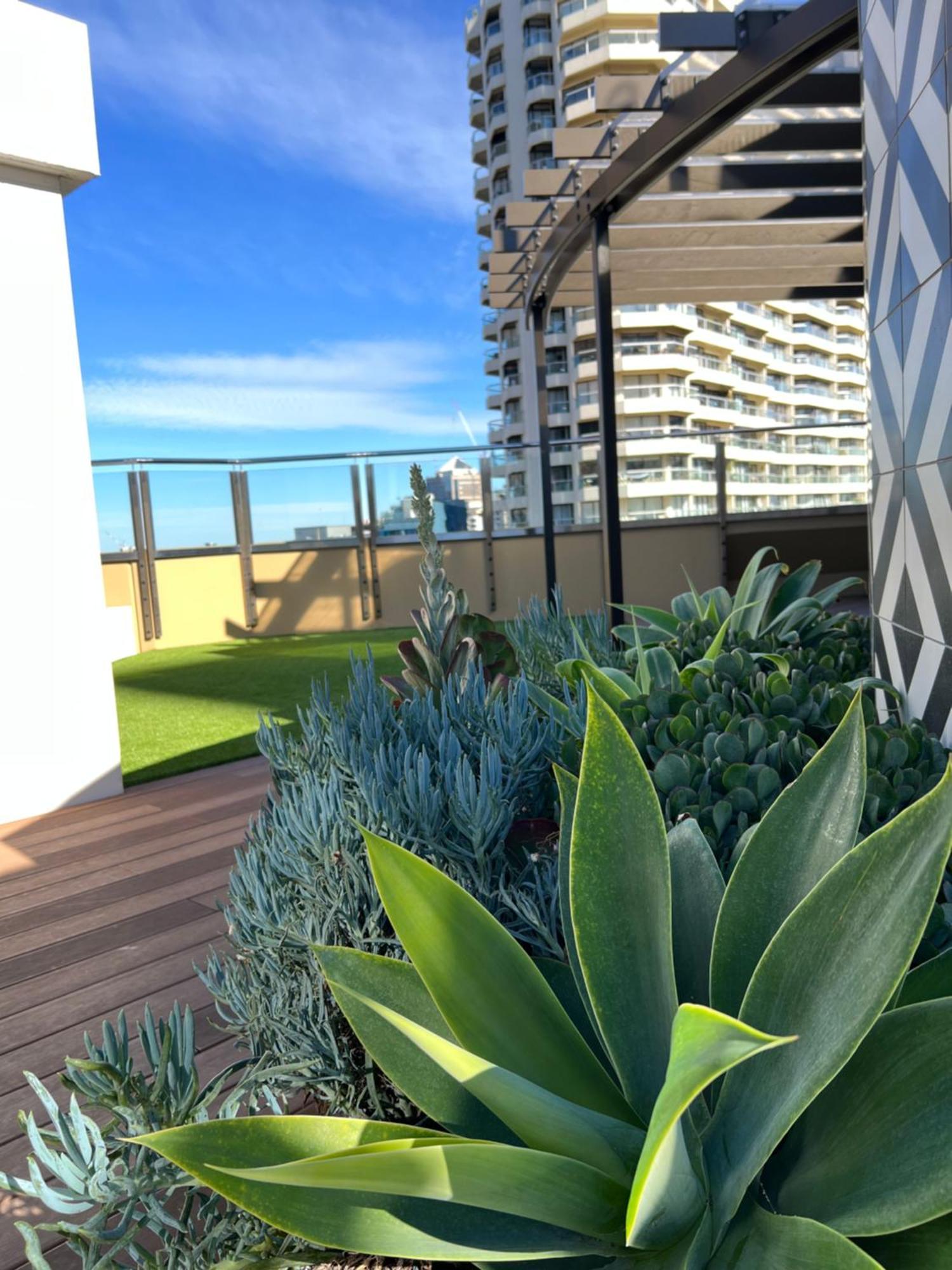 Sydney Hyde Park Private Apartments By Paxsafe Екстер'єр фото